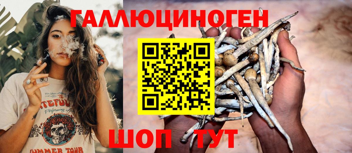 Хасавюрт  Галлюциногенные грибы мухоморы  Вход с VPN 